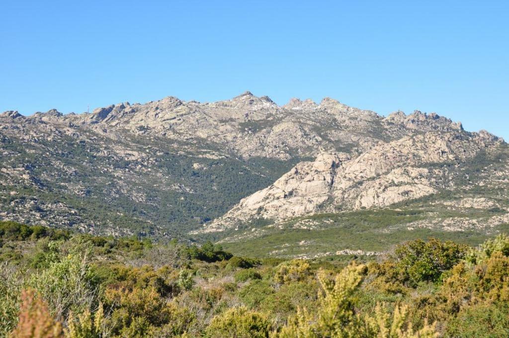 Sardegna Vicino Ad Olbia "La Casa Nel Vicolo" Vila Berchidda Exterior foto