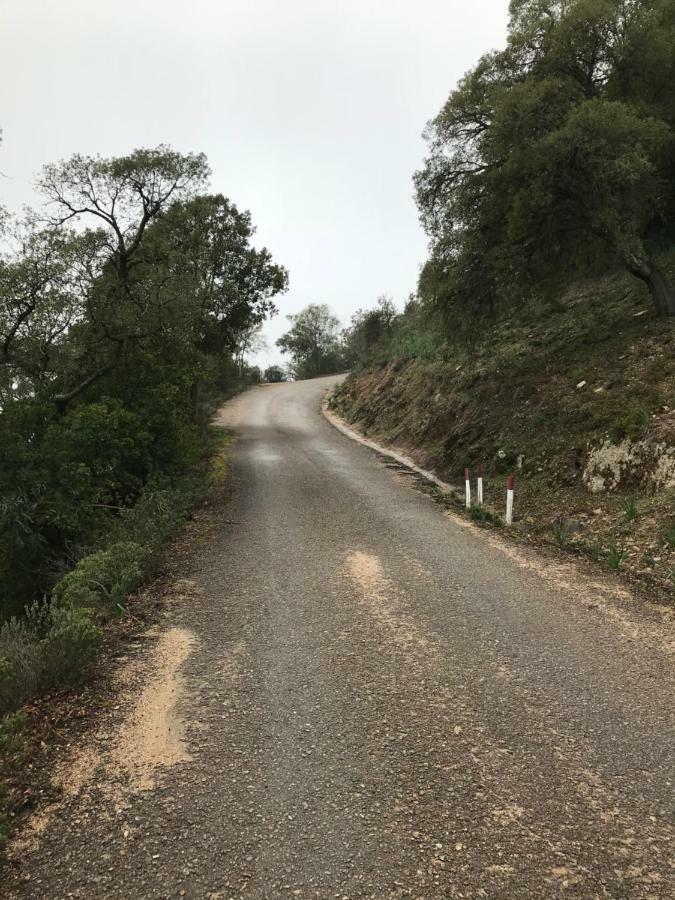 Sardegna Vicino Ad Olbia "La Casa Nel Vicolo" Vila Berchidda Exterior foto