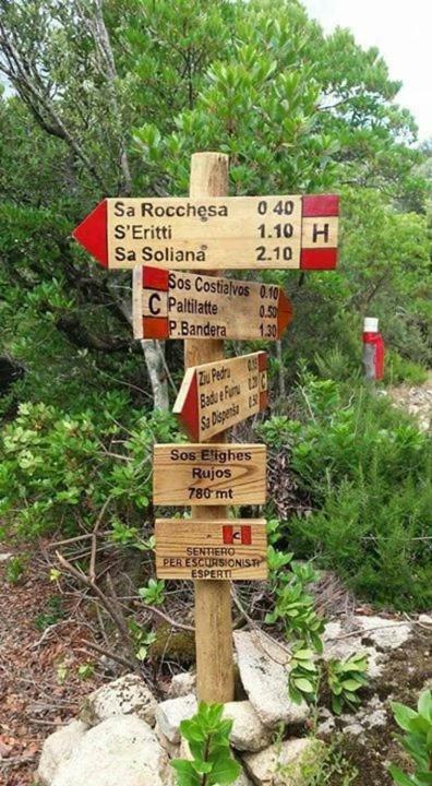 Sardegna Vicino Ad Olbia "La Casa Nel Vicolo" Vila Berchidda Exterior foto