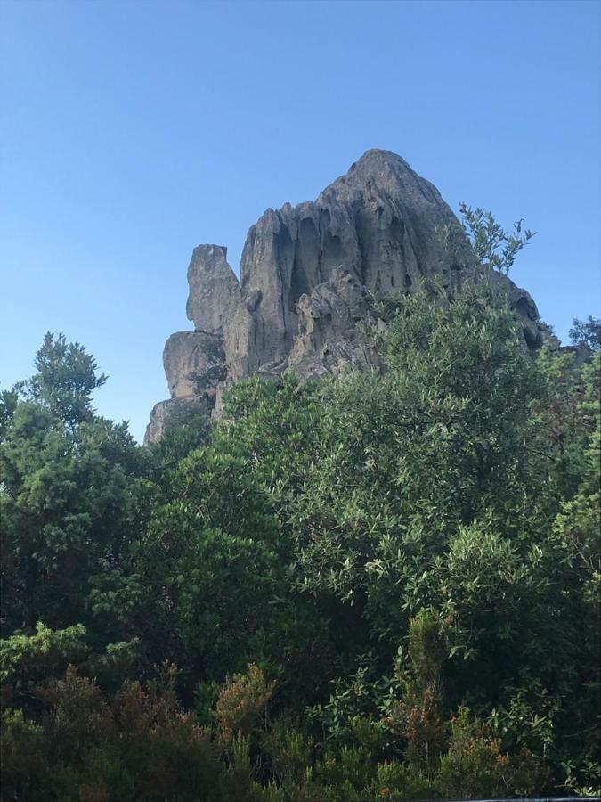 Sardegna Vicino Ad Olbia "La Casa Nel Vicolo" Vila Berchidda Exterior foto