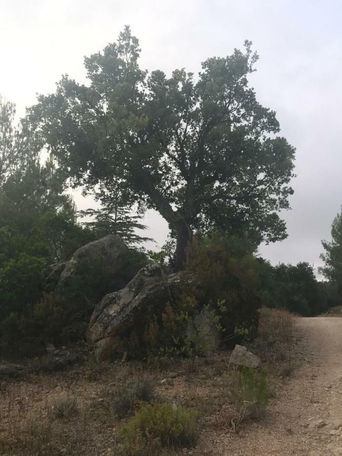 Sardegna Vicino Ad Olbia "La Casa Nel Vicolo" Vila Berchidda Exterior foto
